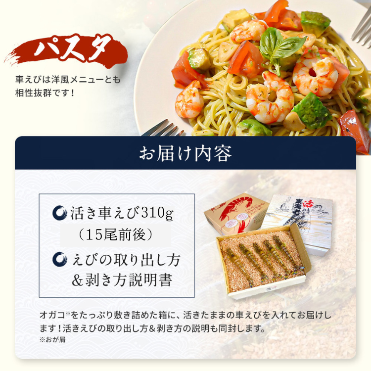 種子島 産 活車 えび 310ｇ　NFN085 【375pt】