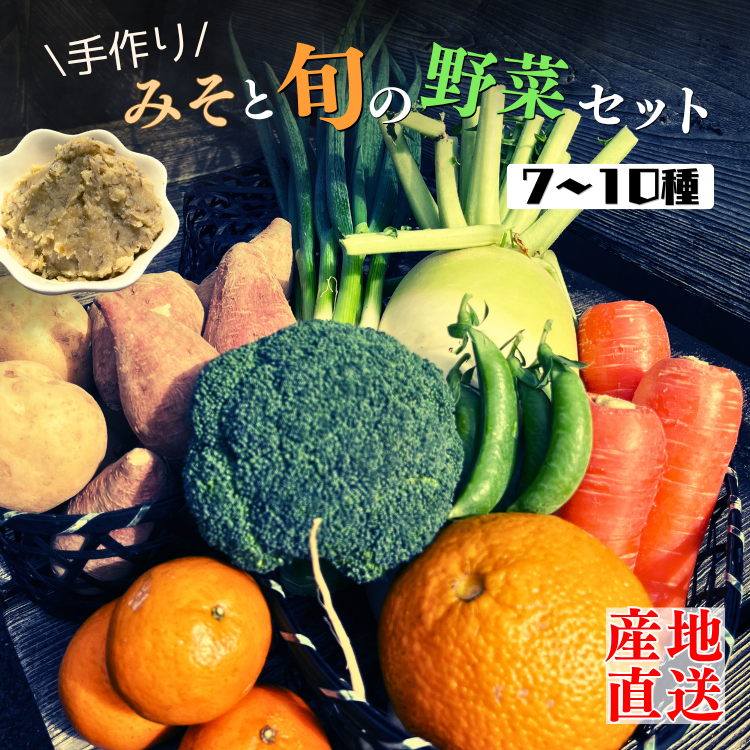 種子島 発！旬の 野菜 と 果物 と 手作り田舎味噌 セット　NFN564 【400pt】 // 旬 手作り みそ 味噌 100％ 国産大豆 美味しい 産地直送 冷蔵