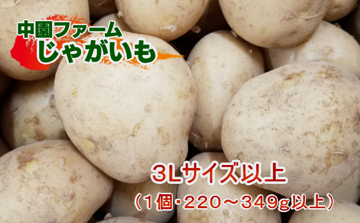 【2025年収穫】 中園ファーム の  新 じゃがいも ３L サイズ以上　10kg　NFN428 【 300pt】