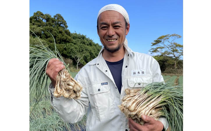 【 先行予約 】たねがしま らっきょう 誠農園 ( 種子島 有機 JAS 根つき 生らっきょう) 1kg　NFN583【250pt】 // 有機栽培 オーガニック 安心・安全 栄養価が高い 健康食材 甘酢 キムチ等の漬物 天ぷら