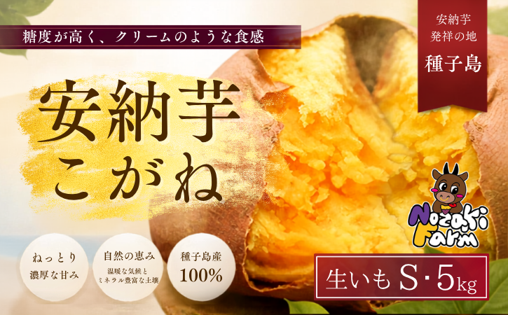 【 先行予約 】 種子島 野﨑ファーム 安納いも ( こがね )  S サイズ 5kg　NFN656【300pt】// 安納芋 本場  糖度 熟成期間 G.I 保護制度 ブランド  生いも 芋 いも さつまいも