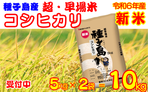 種子島 産 コシヒカリ 超 早場米 【8月中頃〜随時発送】 10kg　NFN192 【750pt】