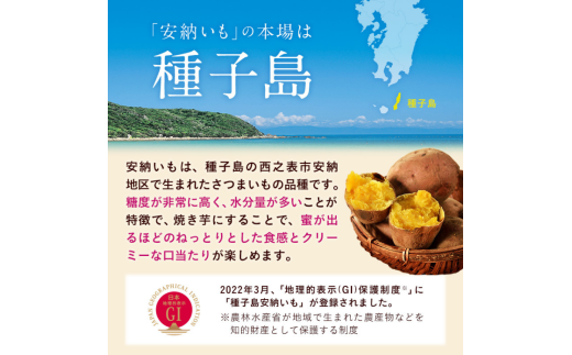  種子島 産 オーガニック  (有機)  種子島 安納いも  (誠農園) １０ｋｇ　NFN538 【650pt】