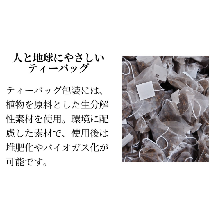 å
è¡äºçŽïŒ ããããããŸã4000ãçš®åå³¶ ææ© ç·è¶ ãã¶ãã ãã£ãŒãã㯠NFN951ã100ptã // ãªãŒã¬ãã㯠äžçªè¶ JASèªèšŒ