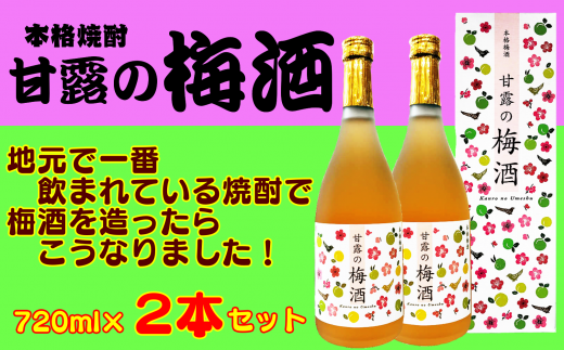 甘露 の 梅酒 ( 720ml )×2本 NFN158 [300pt]
