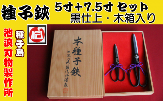 種子鋏 （たねばさみ） 5寸 ＋ 7.5寸 （黒仕上） セット 木箱入　NFN197 【2675pt】