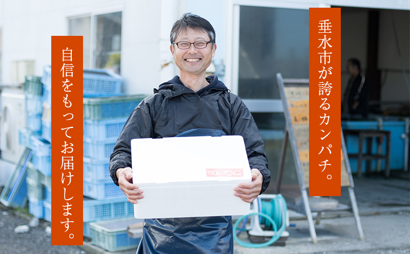 B2-6401／【鹿児島県垂水市産】カンパチ（半身）　甘口さしみ醤油付き