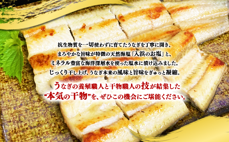 鹿児島県産　うなぎ干物　1尾（120g以上）