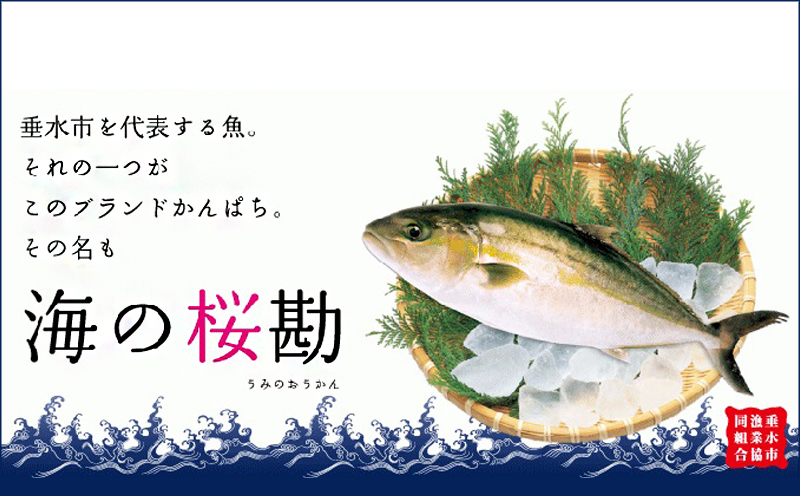 D4-0101／【3回定期】垂水カンパチ『海の桜勘』皮無しロイン 700g （計2.1kg）