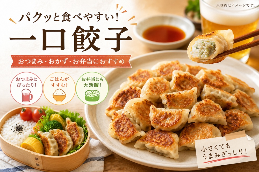 A1-0448／桜島美湯豚　ひと口餃子 8P（計120個）