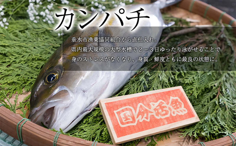 B2-6401／【鹿児島県垂水市産】カンパチ（半身）　甘口さしみ醤油付き