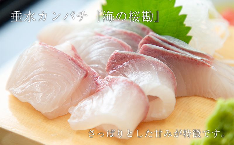 B2-0118／垂水カンパチ『海の桜勘』 皮無しロイン　1.4kg以上