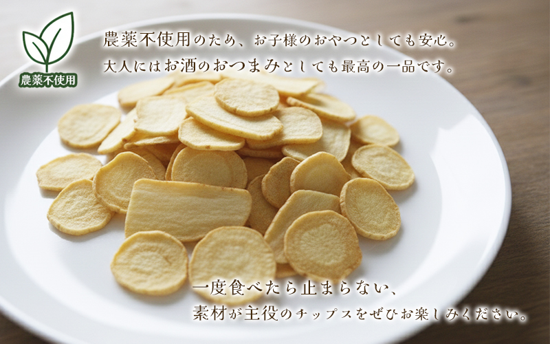 A1-5713／パースニップチップス (25g×6袋)