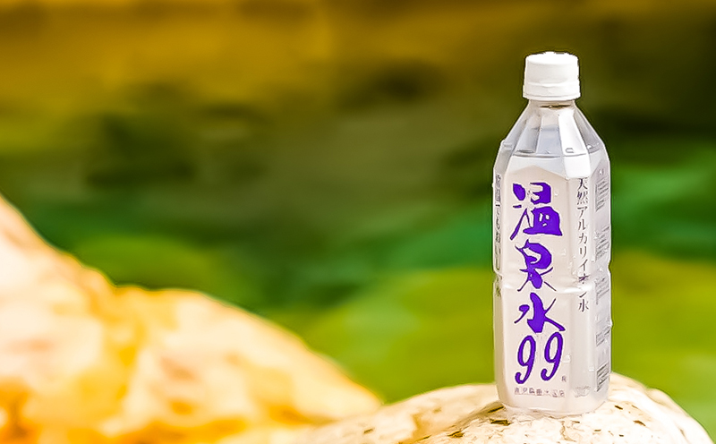 J13-0810／【6回定期】飲む温泉水/温泉水99（500ml×30本）