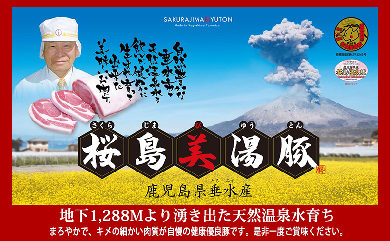 A1-30131／桜島美湯豚スライスミックス 500g×2パック　合計1,000g