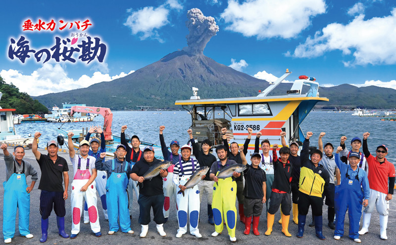 D4-0101／【3回定期】垂水カンパチ『海の桜勘』皮無しロイン 700g （計2.1kg）