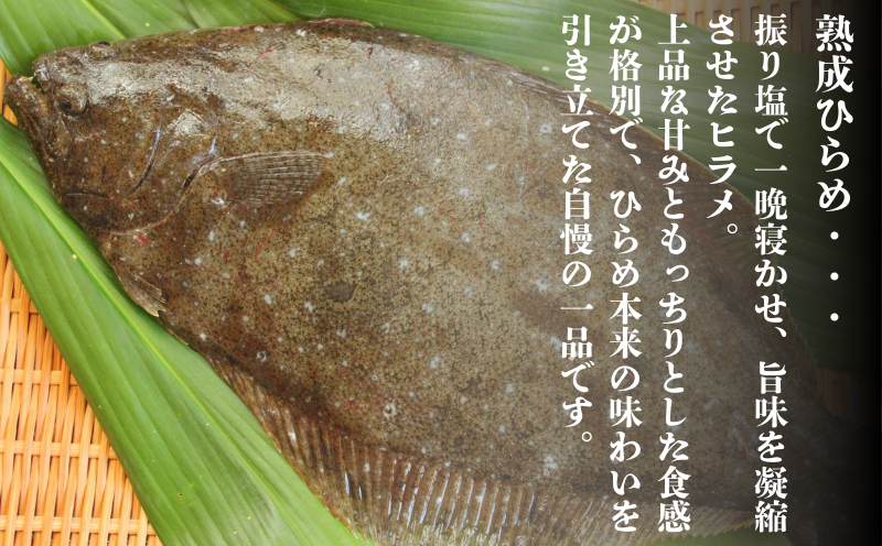 W-7601／熟成ヒラメ 刺身（17cm皿・120g×1P）