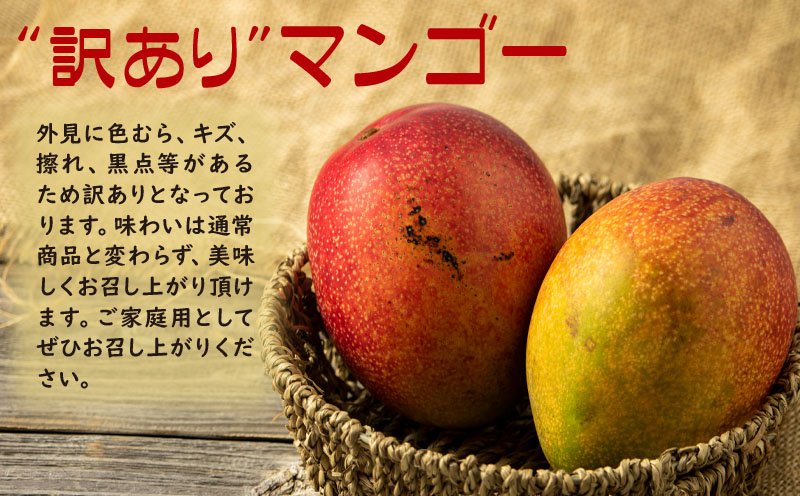 B2-22137ïŒãèš³ããåã鹿å
å³¶ç£ æž©æ³ãã³ãŽãŒ 2kg æééå® ã2026幎å€çºéã