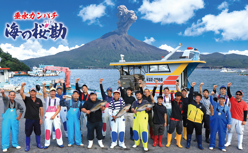 A1-0123／カンパチ頭煮付け　びんた煮　４個（常温あら煮）