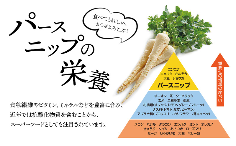 A1-5713／パースニップチップス (25g×6袋)