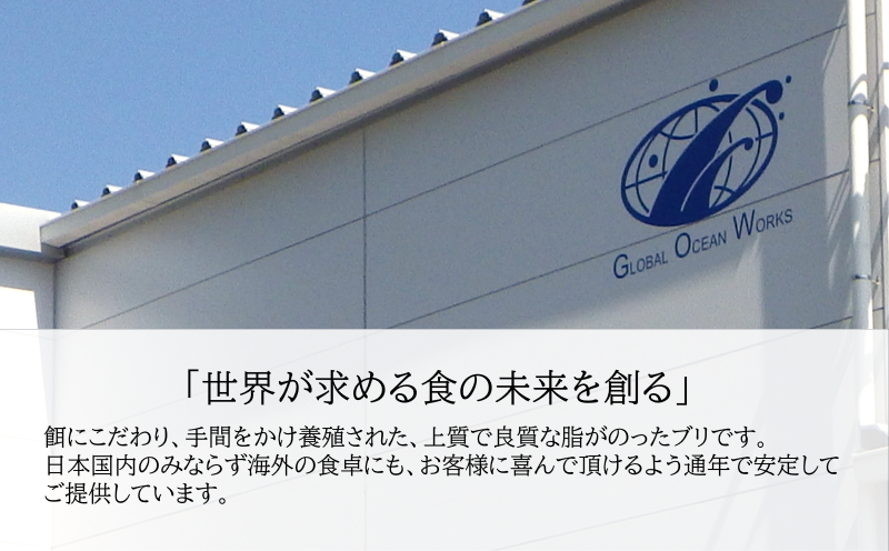 B2-4777／【鹿児島産ぶり】冷凍・ぶり皮無ロイン（背腹計2ｐ）