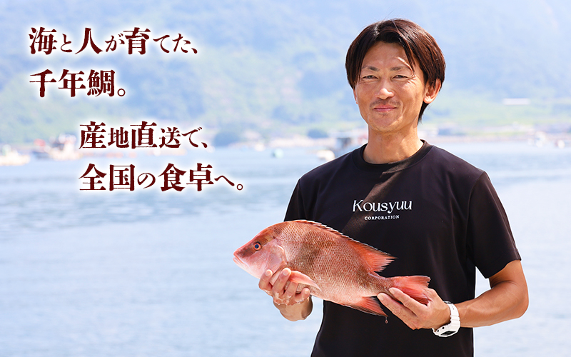 C3-7710／康秀の千年鯛 刺し身スライス 4皿