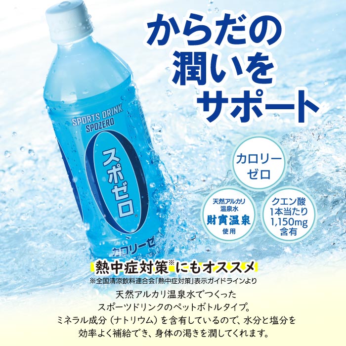 H8-2220／【6回定期】 財寶温泉 スポーツドリンク ペットボトル 500ml×48本