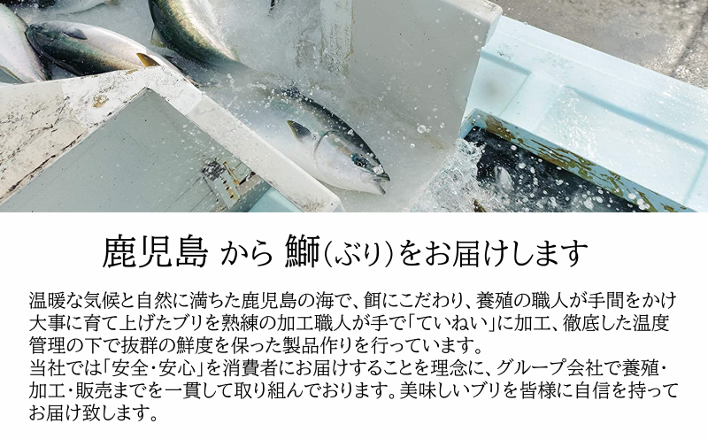 AQ-4709-202605／【鹿児島産ぶり】冷凍・ぶり皮無ロイン（背腹計4p）