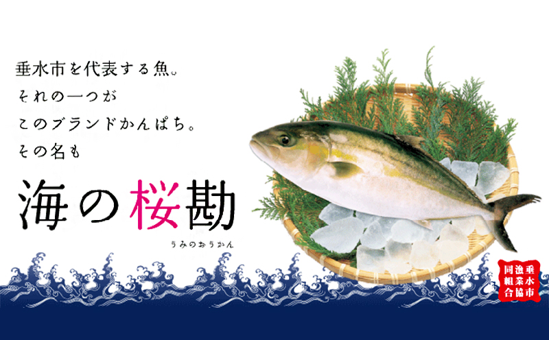 A1-0128／カンパチ頭煮付け　びんた煮　８個（常温あら煮）
