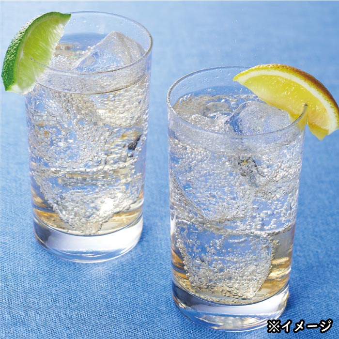 B2-22125／【3回定期】 財寶温泉 レモン水 500ml×24本