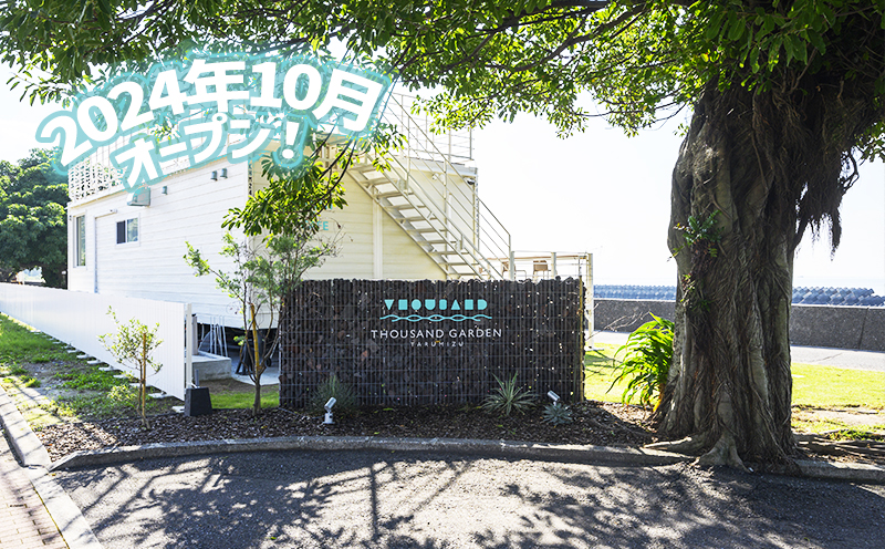 G7-0812シ乗クゥ豕画ーエ99 1.9Lテ12譛ャ シ シ剃ク蜀蛻 螳ソ豕翫ぐ繝輔ヨ蛻ク縲THOUSAND GARDEN TARUMIZU