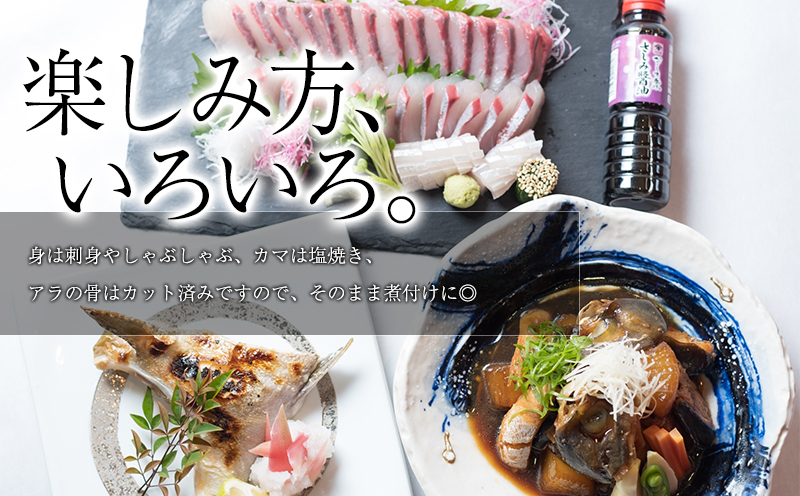 B2-6401／【鹿児島県垂水市産】カンパチ（半身）　甘口さしみ醤油付き