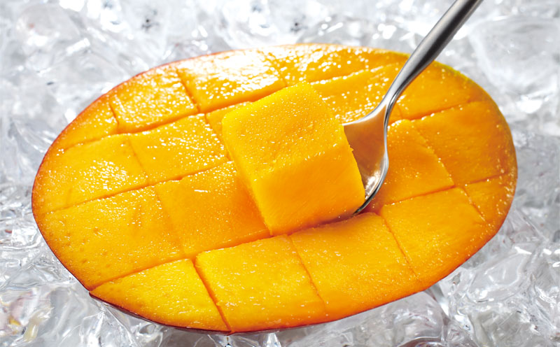 C3-22143ïŒãèš³ããåã鹿å
å³¶ç£ æž©æ³ãã³ãŽãŒ 3kg æééå® ã2026幎å€çºéã