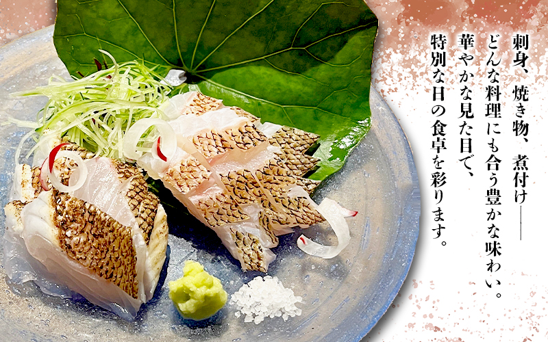 C3-7708シ丞コキ遘縺ョ蜊蟷エ魃 逧ョ莉倥″繝輔ぅ繝ャ 1譫壹サ逧ョ莉倥″繧ケ繝ゥ繧、繧ケ 2逧ソ