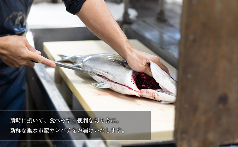 B2-6401／【鹿児島県垂水市産】カンパチ（半身）　甘口さしみ醤油付き