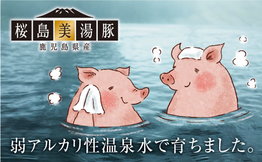 A1-0446ïŒæ¡å³¶çŸæ¹¯è±ããã¬è 3æ¬