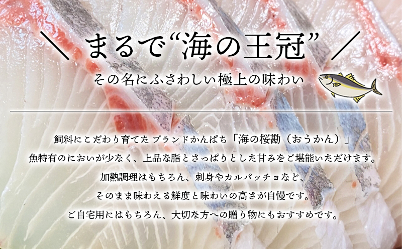 D4-0101／【3回定期】垂水カンパチ『海の桜勘』皮無しロイン 700g （計2.1kg）