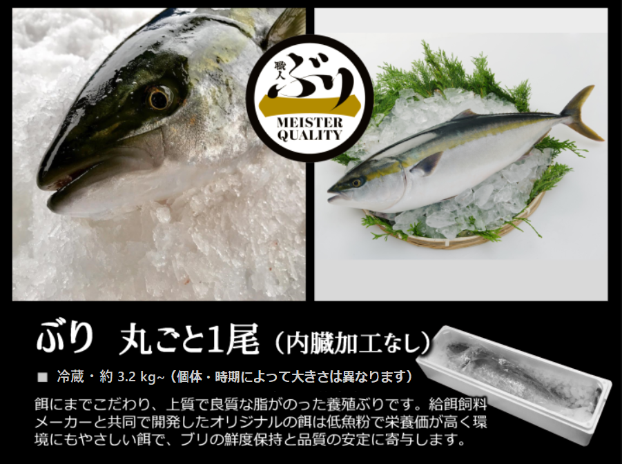 B2-4755／【鹿児島産ぶり】冷蔵・ぶり丸ごと1尾（内臓処理なし）