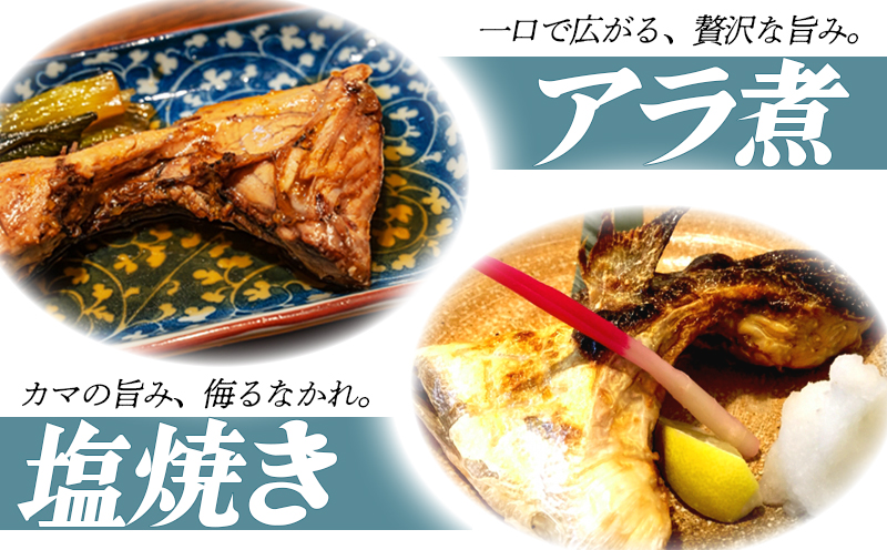 A1-0130／垂水カンパチ『海の桜勘』 カマ 8個（計1.6kg以上）