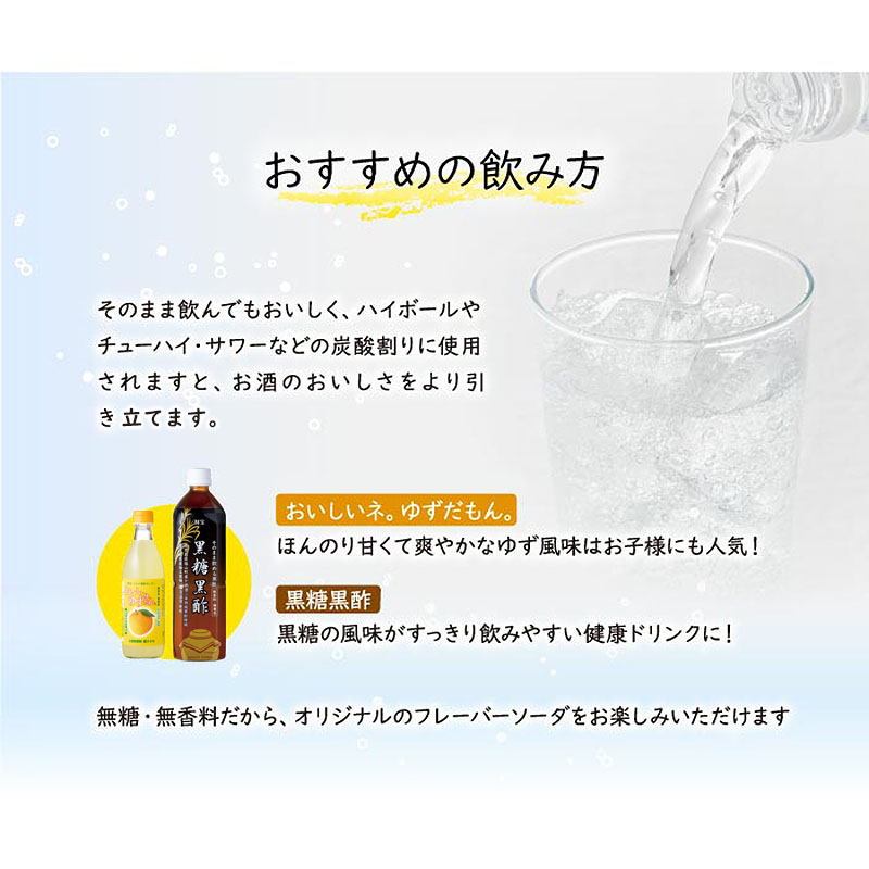 W-22197／財寶温泉　強炭酸水 500ml×24本