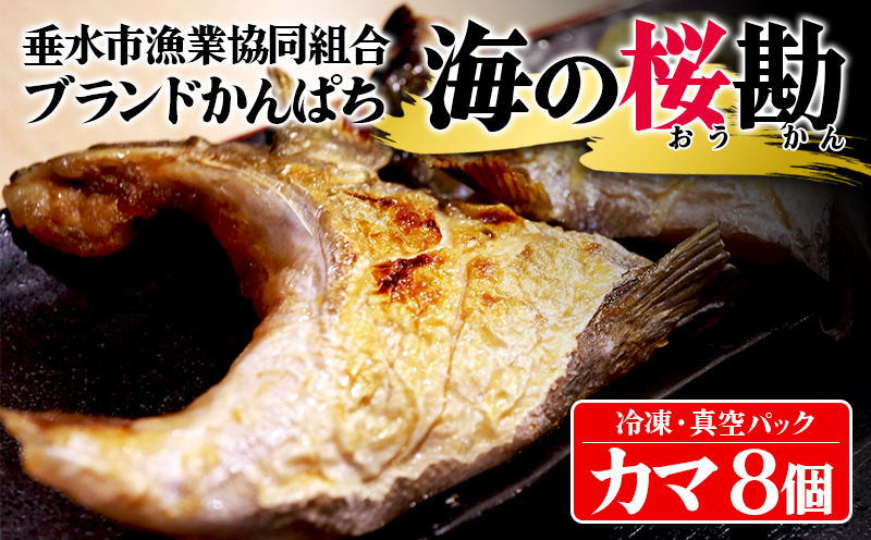 A1-0130／垂水カンパチ『海の桜勘』 カマ 8個（計1.6kg以上）