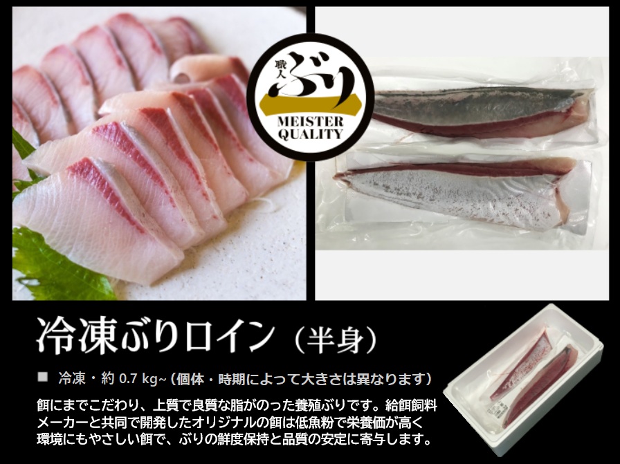 B2-4777／【鹿児島産ぶり】冷凍・ぶり皮無ロイン（背腹計2ｐ）