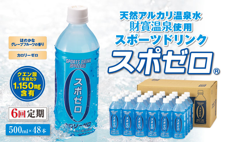 H8-2220／【6回定期】 財寶温泉 スポーツドリンク ペットボトル 500ml×48本