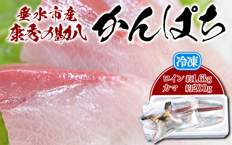 D4-7704／康秀の勘八 ロイン 4柵 ＋ カマ 2個（計約1.8kg）冷凍