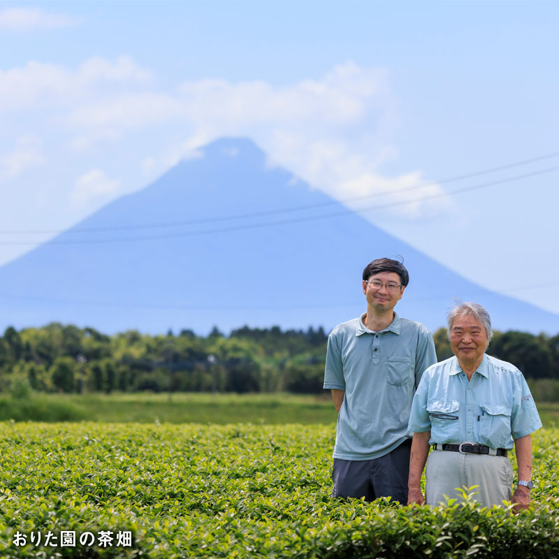 C3-22126／【3回定期】かごんま緑茶 280ml×48本 ペットボトル 鹿児島 知覧茶葉 使用 天然アルカリ温泉水 財寶温泉 抽出 財宝