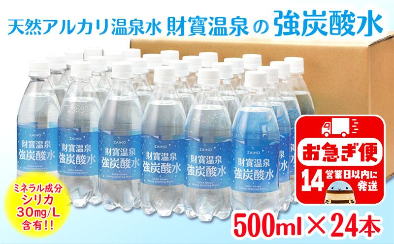 W-22197／財寶温泉　強炭酸水 500ml×24本