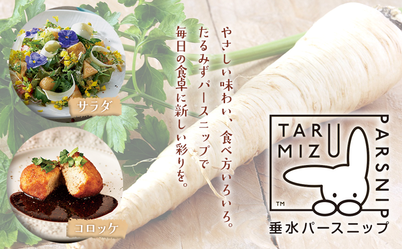 A1-5712ïŒããŒã¹ãããã1kg