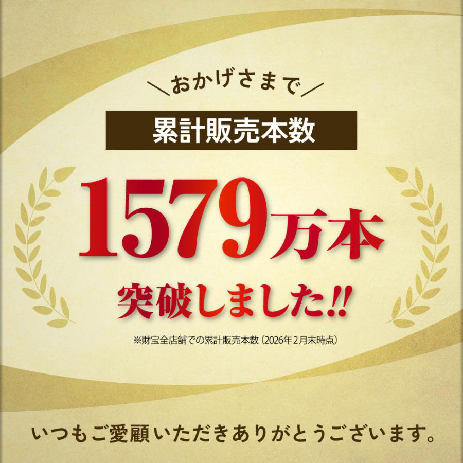 B2-22132／【3回定期】財寶温泉強炭酸水 500ml×24本 財宝