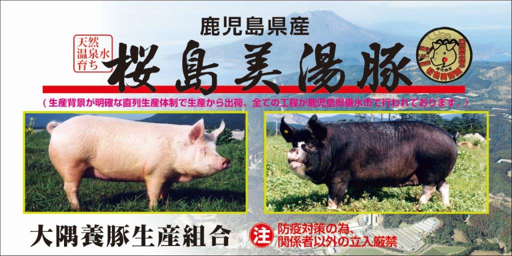 A1-0413／鹿児島県産　桜島美湯豚　バラ 切り落とし　2kg (500g×4パック)