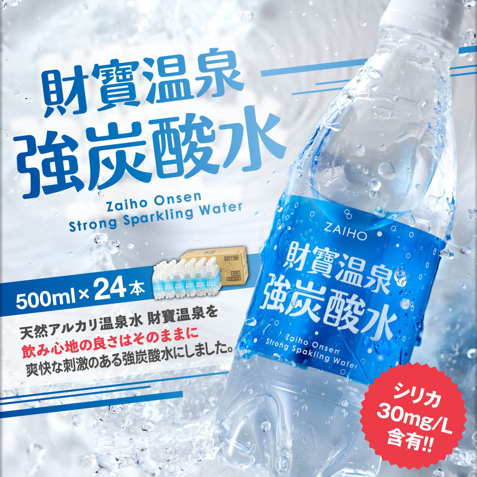 W-22202／財寶温泉強炭酸水 500ml×24本 財宝